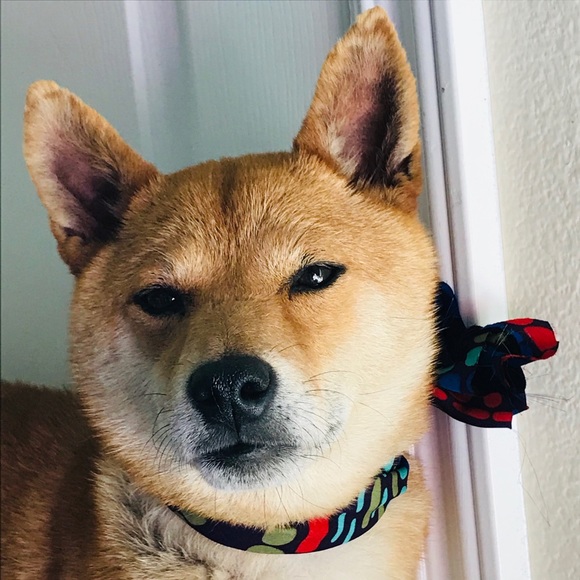 Meet your Posher, Emma Amy Wolfe enjoy share lots - Picture 3 of 3